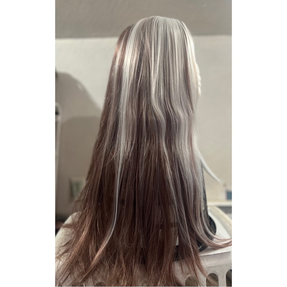 Long Straight Two-Tone Wig - Silver & Brown - Picture 6 of 8